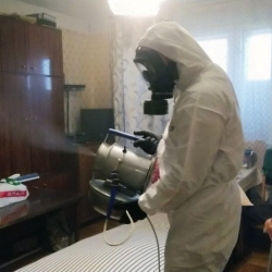 Дезинфекция от клопов Солнцево метро Москвы
